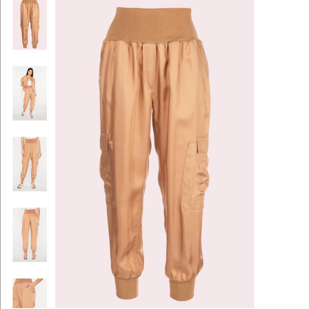 Brand new Cinq a Sept Giles pants!